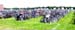 501 Field of Bikes MMA