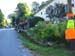 048_FiestaTimeSutton
