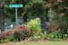 LakeMorey_0040