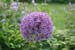 LakeMorey_0050